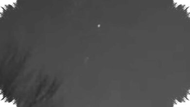 Bukti Dulu, Bukan Panik Dulu, Begini Cara Ahli Menyikapi Penampakan UFO
