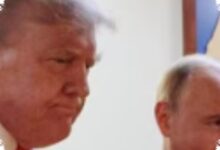 Trump Telepon Putin dan Zelensky, Sinyal Damai Ukraina Menguat Jelang KTT NATO