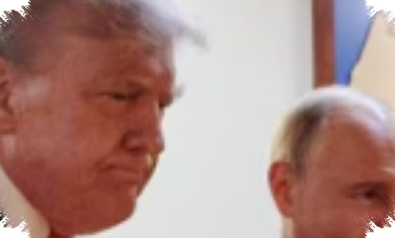 Trump Telepon Putin dan Zelensky, Sinyal Damai Ukraina Menguat Jelang KTT NATO