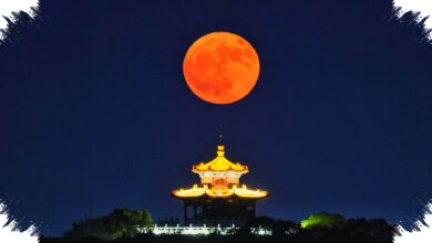 Bulan Juni Sering Terlihat Merah, Alasan Strawberry Moon Sebenarnya Bukan Soal Warna