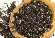6 Makanan Tinggi Serat Ini Bantu Kenyang Lebih Lama Saat Diet