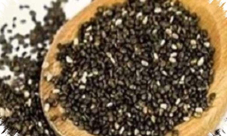 6 Makanan Tinggi Serat Ini Bantu Kenyang Lebih Lama Saat Diet