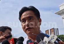 Komnas HAM Turun Tangan di Intan Jaya, Yusril Buka Jalan Investigasi Ibu Hamil Tewas