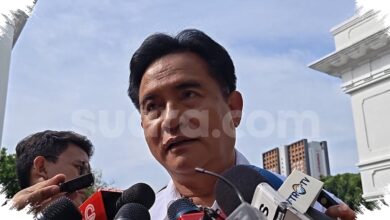 Komnas HAM Turun Tangan di Intan Jaya, Yusril Buka Jalan Investigasi Ibu Hamil Tewas