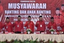 Sukoharjo Tuntaskan Struktur Hingga Akar Rumput, PDIP Jateng Beri Apresiasi Besar
