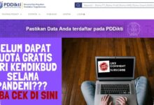 Data PDDIKTI Salah Bisa Hambat Beasiswa dan Lamaran Kerja, Ini Cara Ceknya