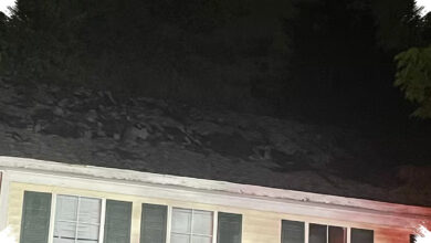Petir Diduga Picu Kebakaran Rumah Di Columbia, 7 Penghuni Dievakuasi Tanpa Cedera