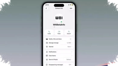 Titik Hijau Baru di WhatsApp iPhone, Begini Cara Kerjanya Saat Kontak Sedang Aktif