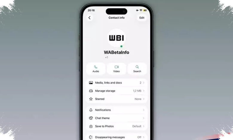 Titik Hijau Baru di WhatsApp iPhone, Begini Cara Kerjanya Saat Kontak Sedang Aktif