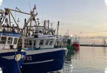 Gelombang Panas Laut di Inggris Menguat, Habitat Dingin Terancam Rusak
