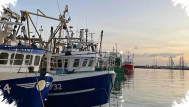 Gelombang Panas Laut di Inggris Menguat, Habitat Dingin Terancam Rusak