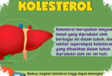 Kolesterol Tinggi Tak Hanya Soal Makan, Ini 11 Mitos yang Masih Sering Keliru