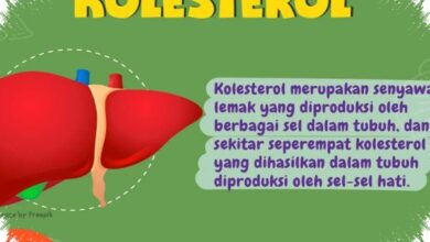 Kolesterol Tinggi Tak Hanya Soal Makan, Ini 11 Mitos yang Masih Sering Keliru