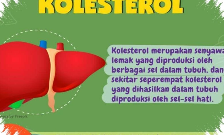 Kolesterol Tinggi Tak Hanya Soal Makan, Ini 11 Mitos yang Masih Sering Keliru