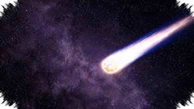 Matahari Terekam Merobek Ekor Komet Lemmon, PUNCH Ungkap Detik-Detik Langkanya