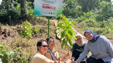 600 Pohon Rasamala Ditanam di Gunung Salak, Upaya Baru Restorasi Hutan Elang Jawa