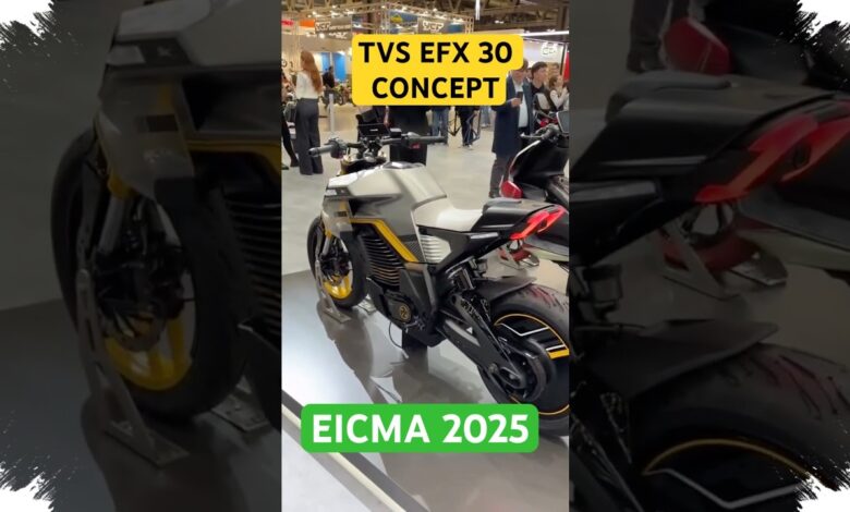 TVS Pilih Jalan Hati-Hati di Motor Listrik, Tak Ingin Produk Cepat Hilang
