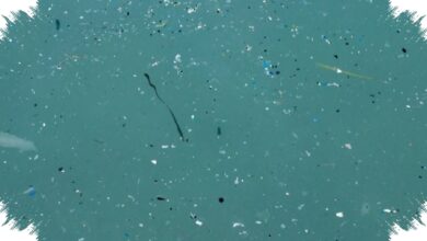 Nanoplastik Ternyata Sudah Sampai Antartika, Temuan Ini Mengungkap Jalur Tak Terlihatnya
