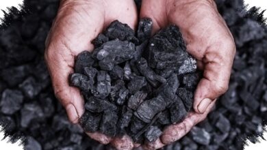 KPK Didesak Ambil Alih Kasus Batu Bara, Temuan 74 Kg Emas Picu Sorotan