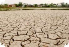 129 Juta Liter Disiapkan, 14 Kabupaten di Jateng Masuk Penanganan Kekeringan