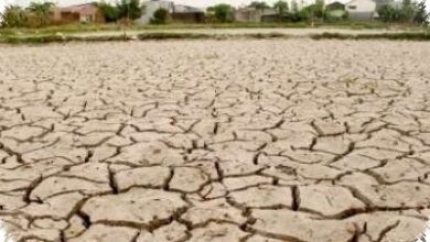 129 Juta Liter Disiapkan, 14 Kabupaten di Jateng Masuk Penanganan Kekeringan