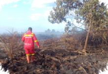 Sinyal Lemah Hambat Pemadaman 7 Hektare Gambut yang Terbakar di Rokan Hilir