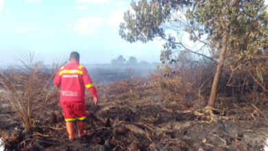 Sinyal Lemah Hambat Pemadaman 7 Hektare Gambut yang Terbakar di Rokan Hilir