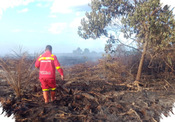 Sinyal Lemah Hambat Pemadaman 7 Hektare Gambut yang Terbakar di Rokan Hilir