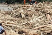 Penebangan Hutan Mempercepat Banjir, Risiko Melonjak Tajam di Wilayah Pegunungan Ini