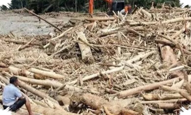 Penebangan Hutan Mempercepat Banjir, Risiko Melonjak Tajam di Wilayah Pegunungan Ini