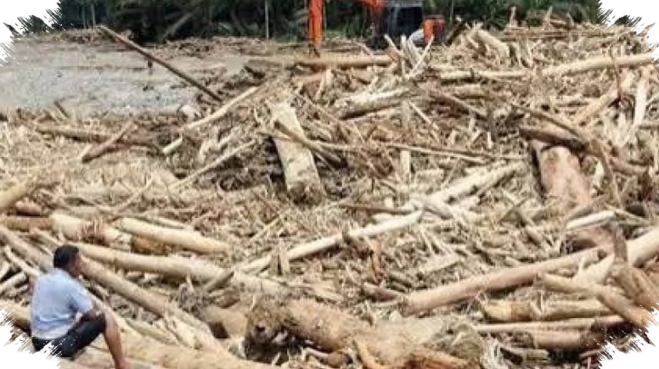 Penebangan Hutan Mempercepat Banjir, Risiko Melonjak Tajam di Wilayah Pegunungan Ini
