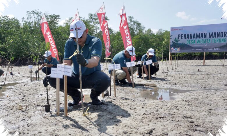 500 Mangrove Ditanam di Belitung, Honda Babel Kirim Pesan Kuat Lawan Abrasi