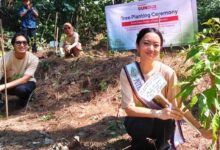 Sharp Ubah Langkah Pelari Jadi 600 Pohon, Restorasi Ini Menyentuh Habitat Elang Jawa