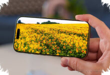 Infinix Smart 20 Bawa Kesan Mirip iPhone 17, Harga Tetap Masuk Akal