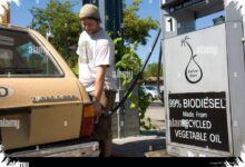 B50 Mulai Mengalir, Pemilik Diesel Perlu Waspada pada Filter dan Karet