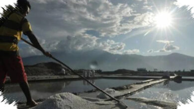 Kuota Impor Garam Industri Ditambah Lagi, Serapan Garam Lokal Kian Terkait