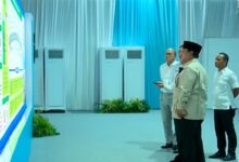 Temuan Emas Raksasa di Papua Bikin Peta Sumber Daya Indonesia Berubah