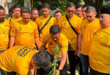 AMPG Tanam 444.444 Pohon, Gerakan Hijau Ini Disebut Bisa Selamatkan Jutaan Nyawa