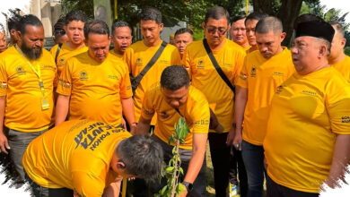 AMPG Tanam 444.444 Pohon, Gerakan Hijau Ini Disebut Bisa Selamatkan Jutaan Nyawa