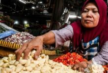 Harga Bawang Putih Tembus Rp 100.000 per Kg, Tekanan Terberat Ada di Timur Indonesia
