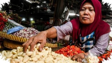 Harga Bawang Putih Tembus Rp 100.000 per Kg, Tekanan Terberat Ada di Timur Indonesia