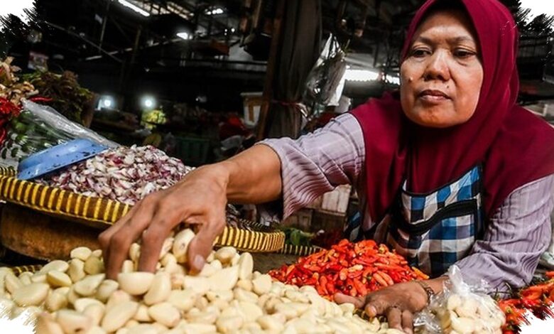Harga Bawang Putih Tembus Rp 100.000 per Kg, Tekanan Terberat Ada di Timur Indonesia