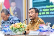 9 Daerah Masih Dikejar Target LP2B, Jateng Perketat Alih Fungsi Sawah
