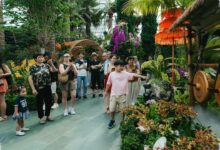 8 Wilayah Indonesia Dipamerkan di Gardens by the Bay, Singapura Punya Tontonan Baru