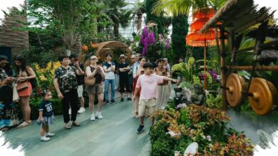 8 Wilayah Indonesia Dipamerkan di Gardens by the Bay, Singapura Punya Tontonan Baru