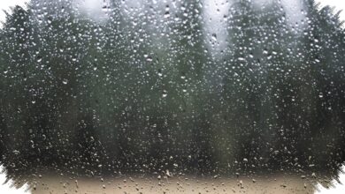Hotspot Muncul Bersamaan Dengan Hujan Ringan Di Sumut, Warga Diminta Lebih Waspada