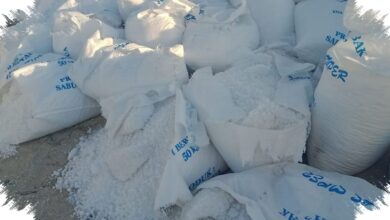 Impor Garam Industri Naik Lagi, Serapan Lokal dan Target Swasembada 2027 Tertekan