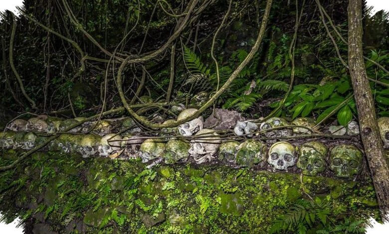 3 Pulau di Indonesia yang Tak Dihuni Warga, Justru Menyimpan Makam dan Tradisi Kuno