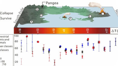 Laut Purba Memilih yang Tahan Panas, Petunjuk Baru dari Kepunahan Terbesar Bumi