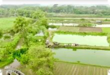 Skema 10 Tahun Bank Tanah Cegah Lahan Reforma Agraria Mudah Jatuh ke Perusahaan